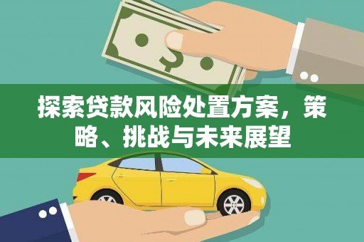 汉源探索贷款风险处置方案，策略、挑战与未来展望