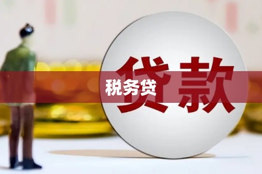 汉源税务贷