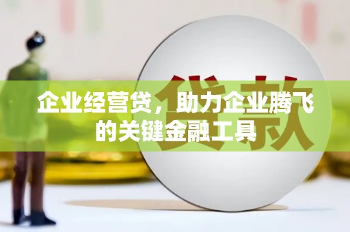汉源企业经营贷，助力企业腾飞的关键金融工具
