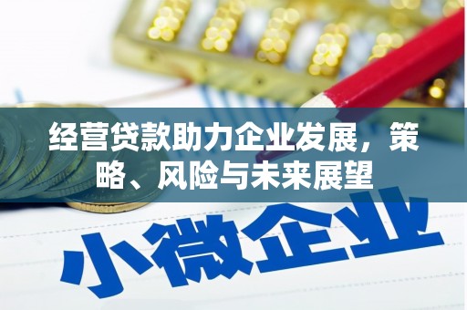 汉源经营贷款助力企业发展，策略、风险与未来展望