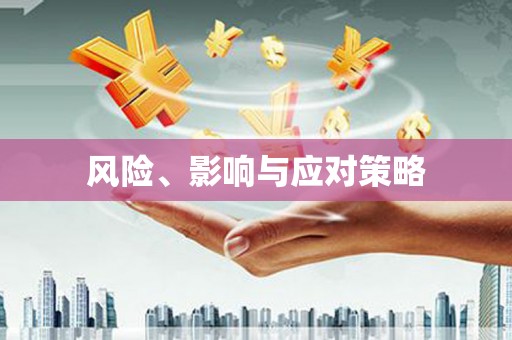 汉源风险、影响与应对策略