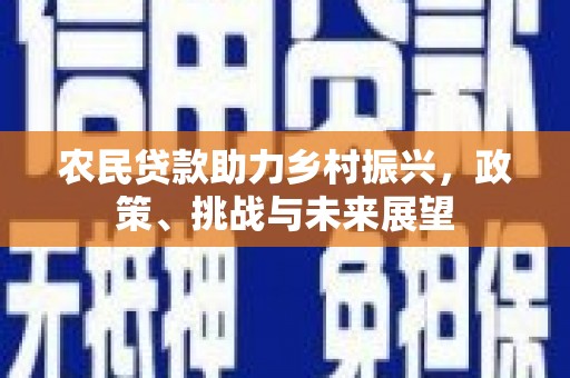 汉源农民贷款助力乡村振兴，政策、挑战与未来展望