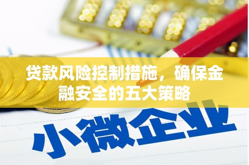 汉源贷款风险控制措施，确保金融安全的五大策略