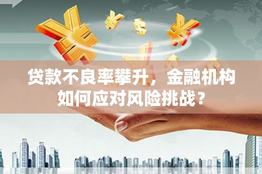 汉源贷款不良率攀升，金融机构如何应对风险挑战？
