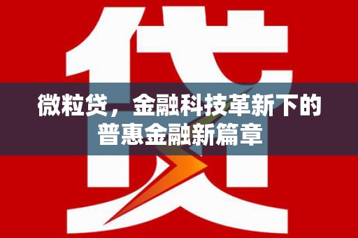 汉源微粒贷，金融科技革新下的普惠金融新篇章