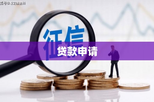 汉源贷款申请