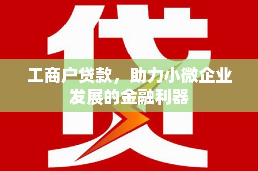 汉源工商户贷款，助力小微企业发展的金融利器