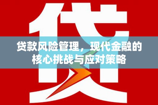汉源贷款风险管理，现代金融的核心挑战与应对策略