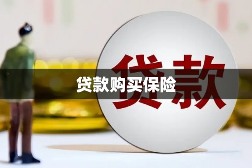 汉源贷款购买保险