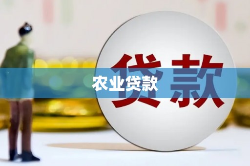 汉源农业贷款