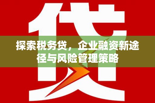 汉源探索税务贷，企业融资新途径与风险管理策略