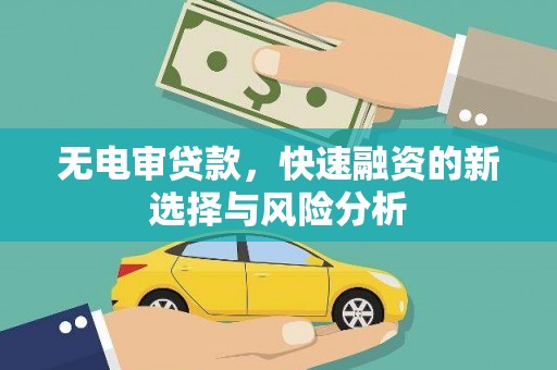 汉源无电审贷款，快速融资的新选择与风险分析