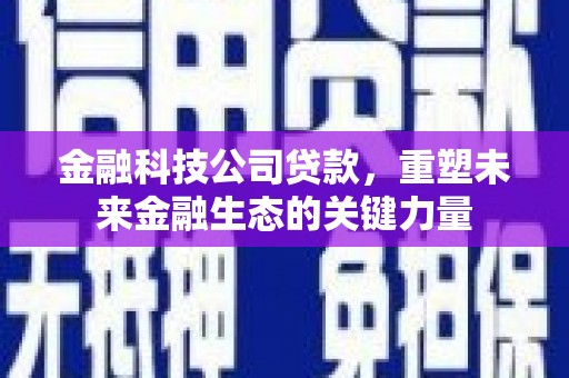汉源金融科技公司贷款，重塑未来金融生态的关键力量