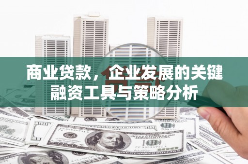 汉源商业贷款，企业发展的关键融资工具与策略分析