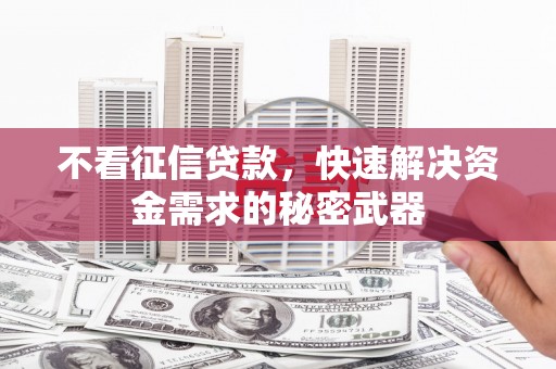 汉源不看征信贷款，快速解决资金需求的秘密武器