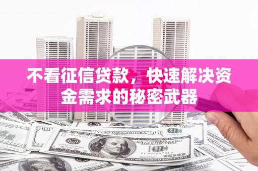 汉源不看征信贷款，快速解决资金需求的秘密武器