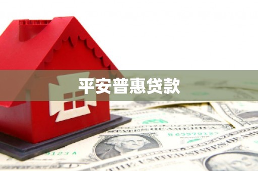 汉源平安普惠贷款