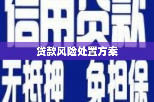 汉源贷款风险处置方案