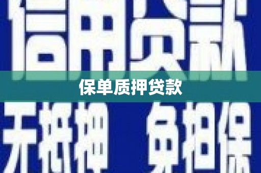 汉源保单质押贷款