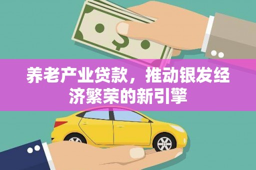 汉源养老产业贷款，推动银发经济繁荣的新引擎