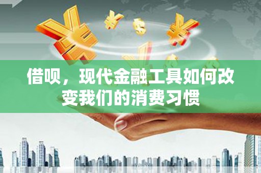 汉源借呗，现代金融工具如何改变我们的消费习惯