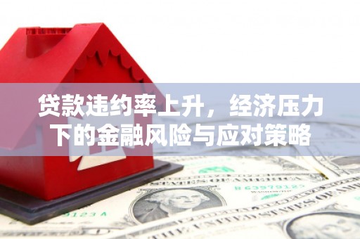 汉源贷款违约率上升，经济压力下的金融风险与应对策略