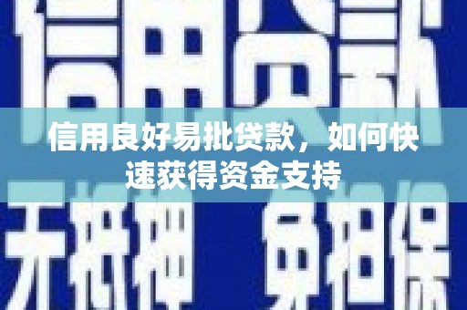 汉源信用良好易批贷款，如何快速获得资金支持