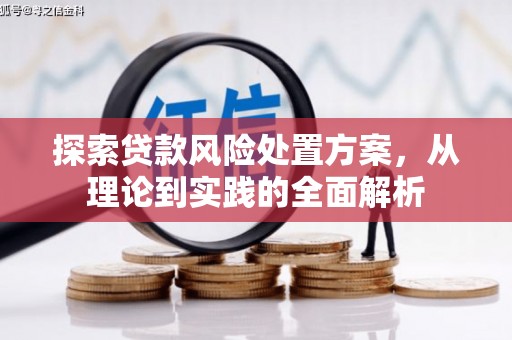 汉源探索贷款风险处置方案，从理论到实践的全面解析