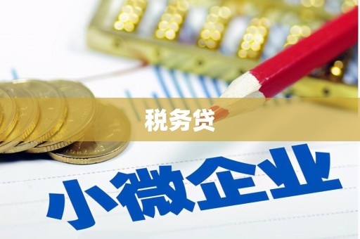 汉源税务贷