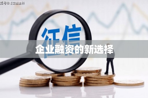 汉源企业融资的新选择