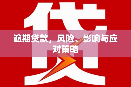汉源逾期贷款，风险、影响与应对策略