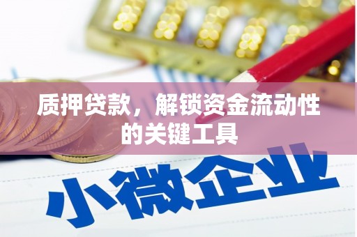 汉源质押贷款，解锁资金流动性的关键工具