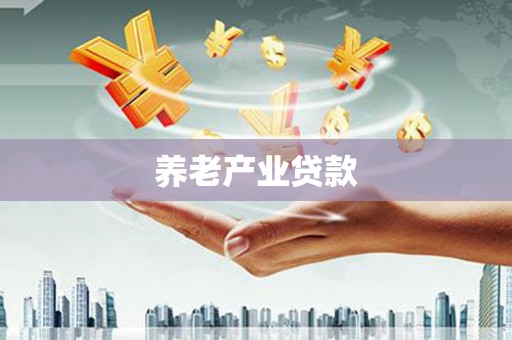 汉源养老产业贷款
