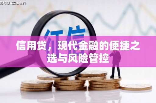 汉源信用贷，现代金融的便捷之选与风险管控