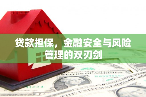 汉源贷款担保，金融安全与风险管理的双刃剑