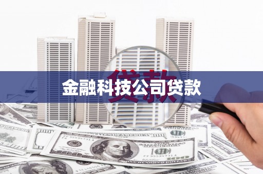 汉源金融科技公司贷款