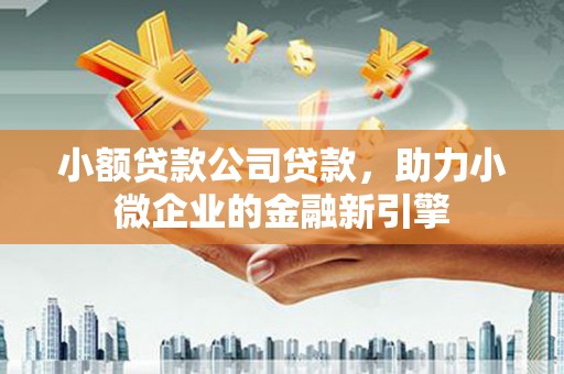 汉源小额贷款公司贷款，助力小微企业的金融新引擎
