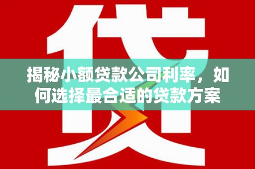 汉源揭秘小额贷款公司利率，如何选择最合适的贷款方案