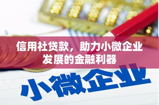 汉源信用社贷款，助力小微企业发展的金融利器