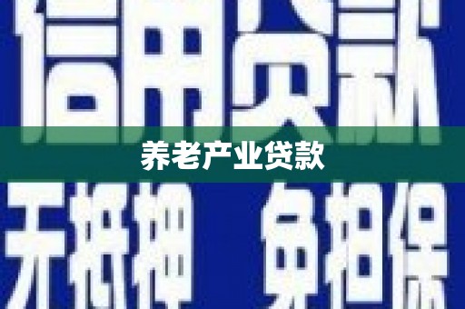 汉源养老产业贷款