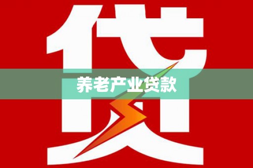 汉源养老产业贷款
