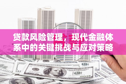 汉源贷款风险管理，现代金融体系中的关键挑战与应对策略
