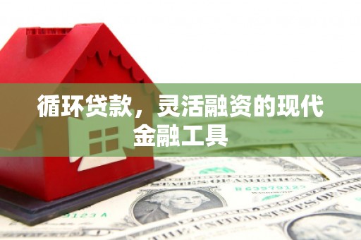 汉源循环贷款，灵活融资的现代金融工具