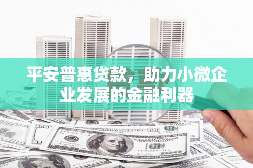 汉源平安普惠贷款，助力小微企业发展的金融利器