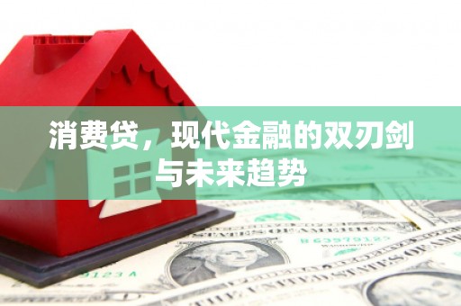 汉源消费贷，现代金融的双刃剑与未来趋势