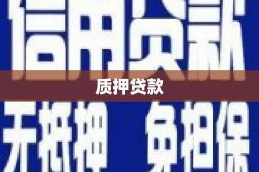 汉源质押贷款