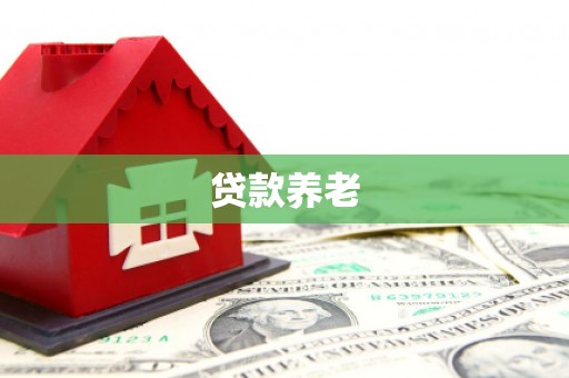 汉源贷款养老