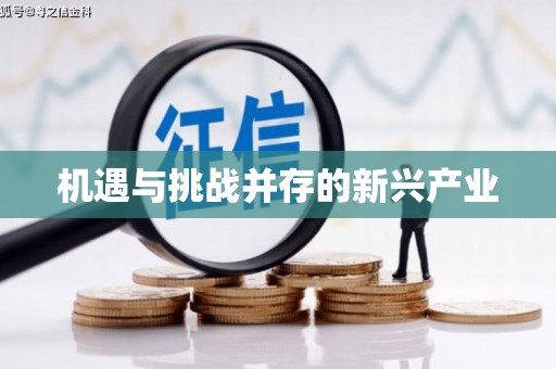 汉源机遇与挑战并存的新兴产业