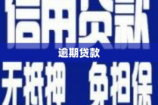 汉源逾期贷款