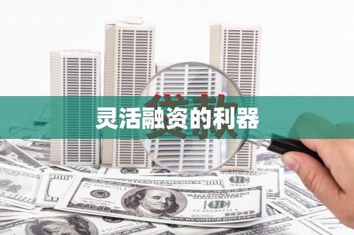 汉源灵活融资的利器